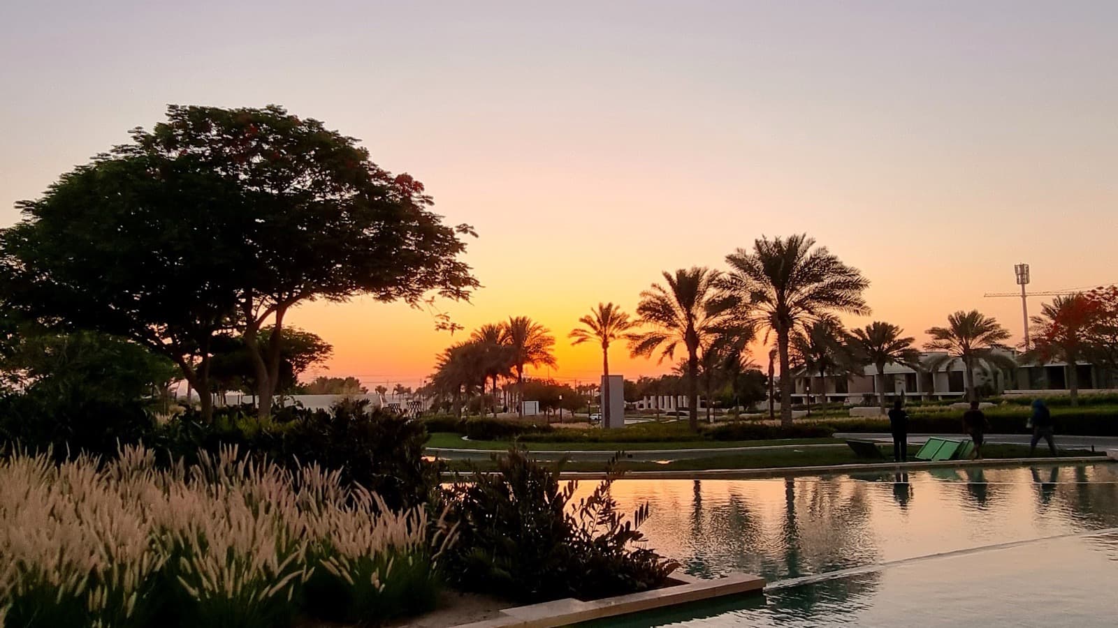 Dubai Hills Park at sunset with water feature, palm trees and landscaped grounds within Dubai Hills Estate