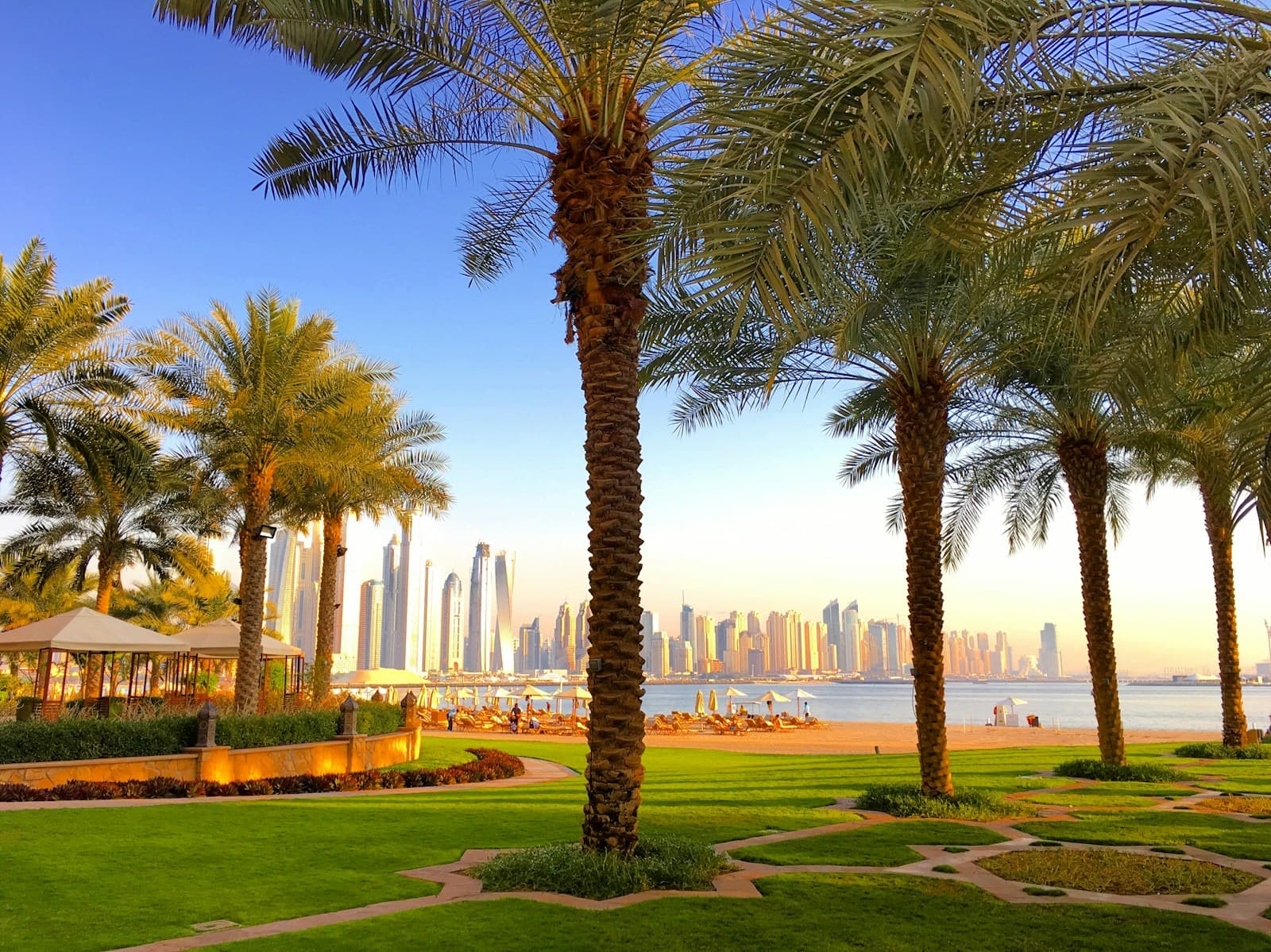 Palm trees framing high-rise residential buildings along a Dubai beachfront